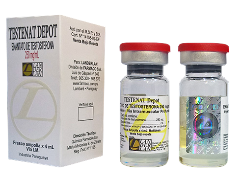 TESTENAT DEPOT FRASCO AMPOLLA X 4 ML