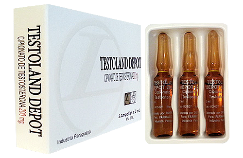 TESTOLAND DEPOT AMPOLLAS X 2 ML